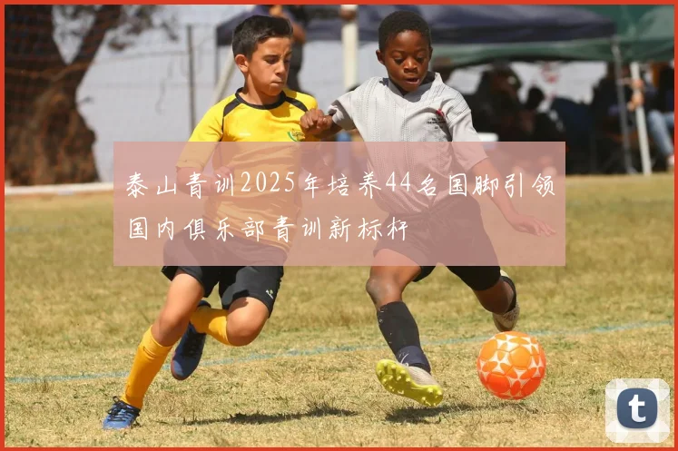 泰山青训2025年培养44名国脚引领国内俱乐部青训新标杆