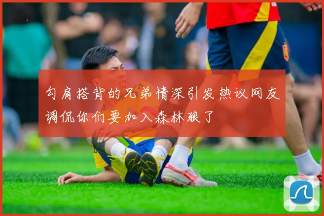 勾肩搭背的兄弟情深引发热议网友调侃你们要加入森林狼了